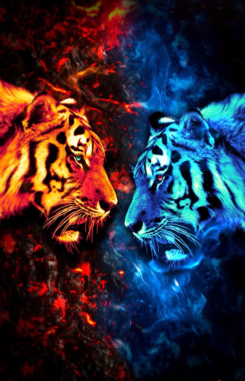 Blue Fire Tiger Wallpapers