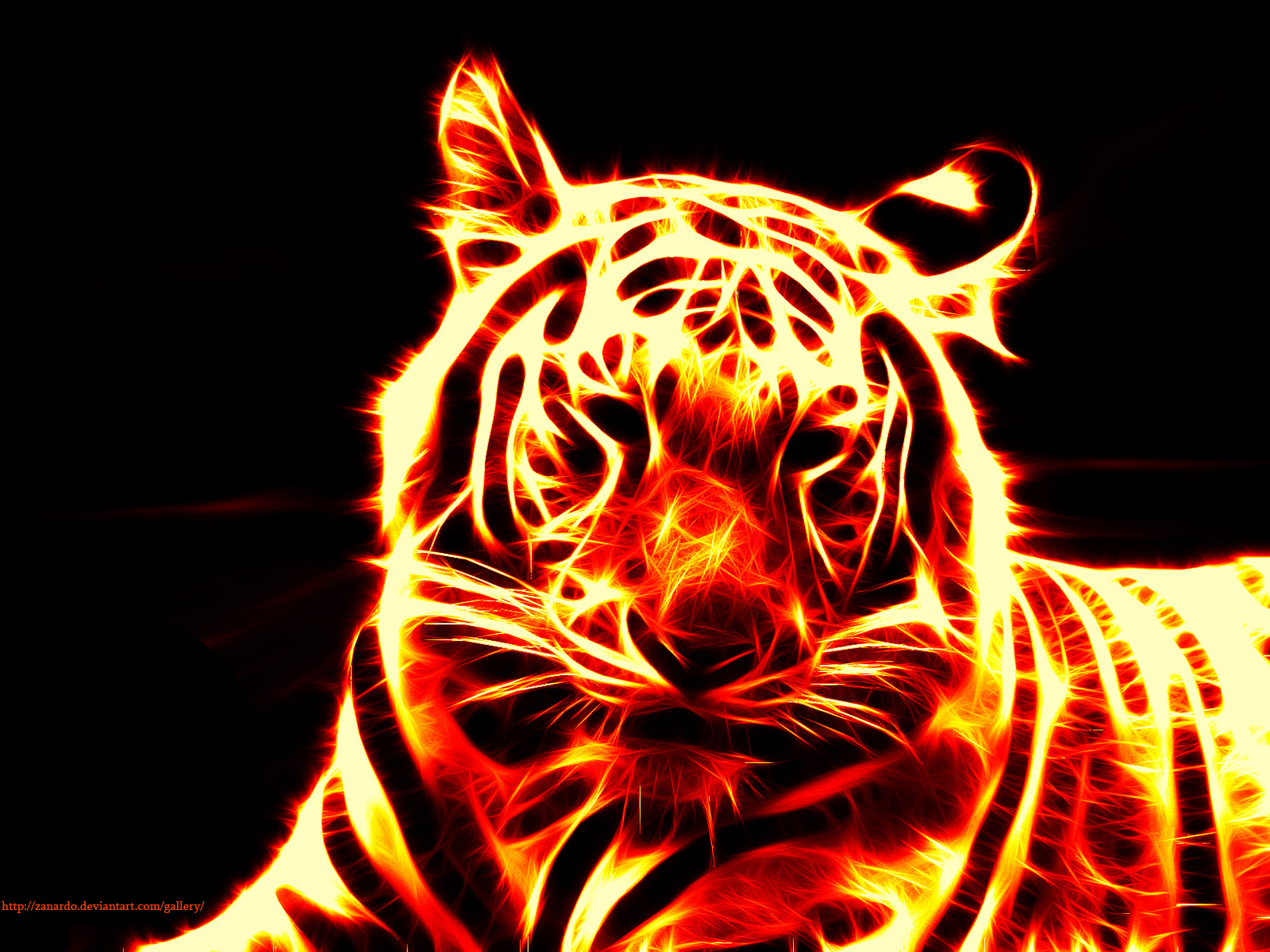 Blue Fire Tiger Wallpapers