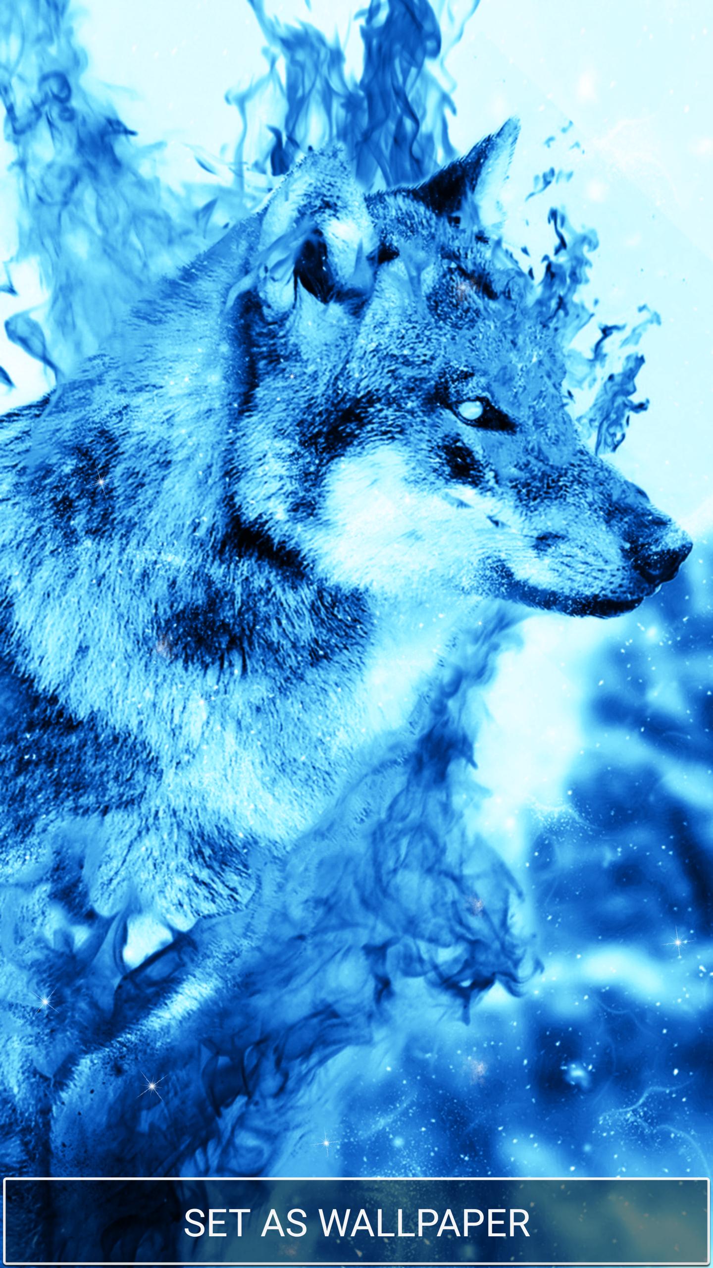 Blue Fire Wolf Wallpapers