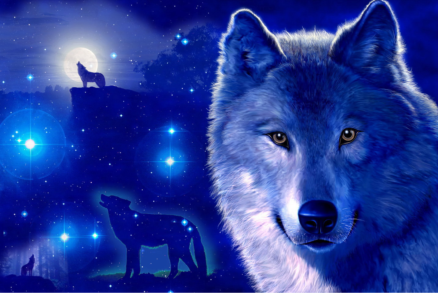 Blue Fire Wolf Wallpapers