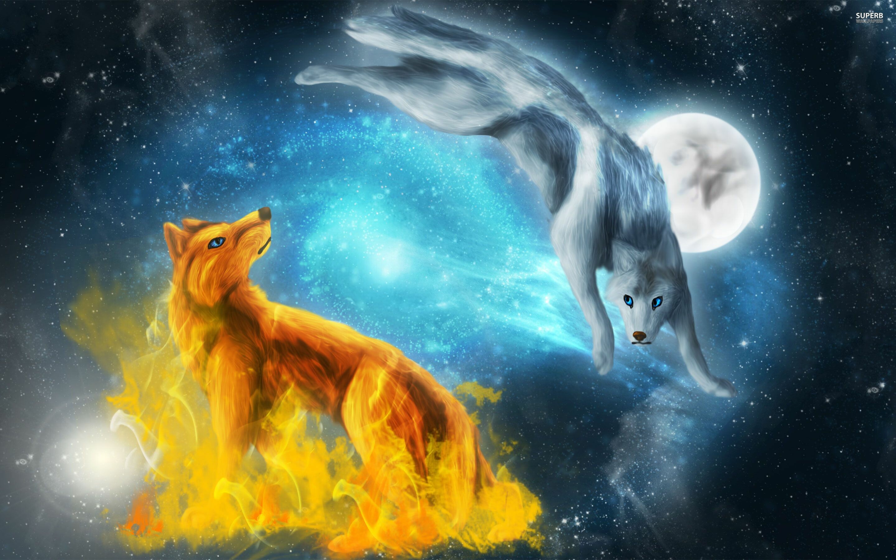 Blue Fire Wolf Wallpapers