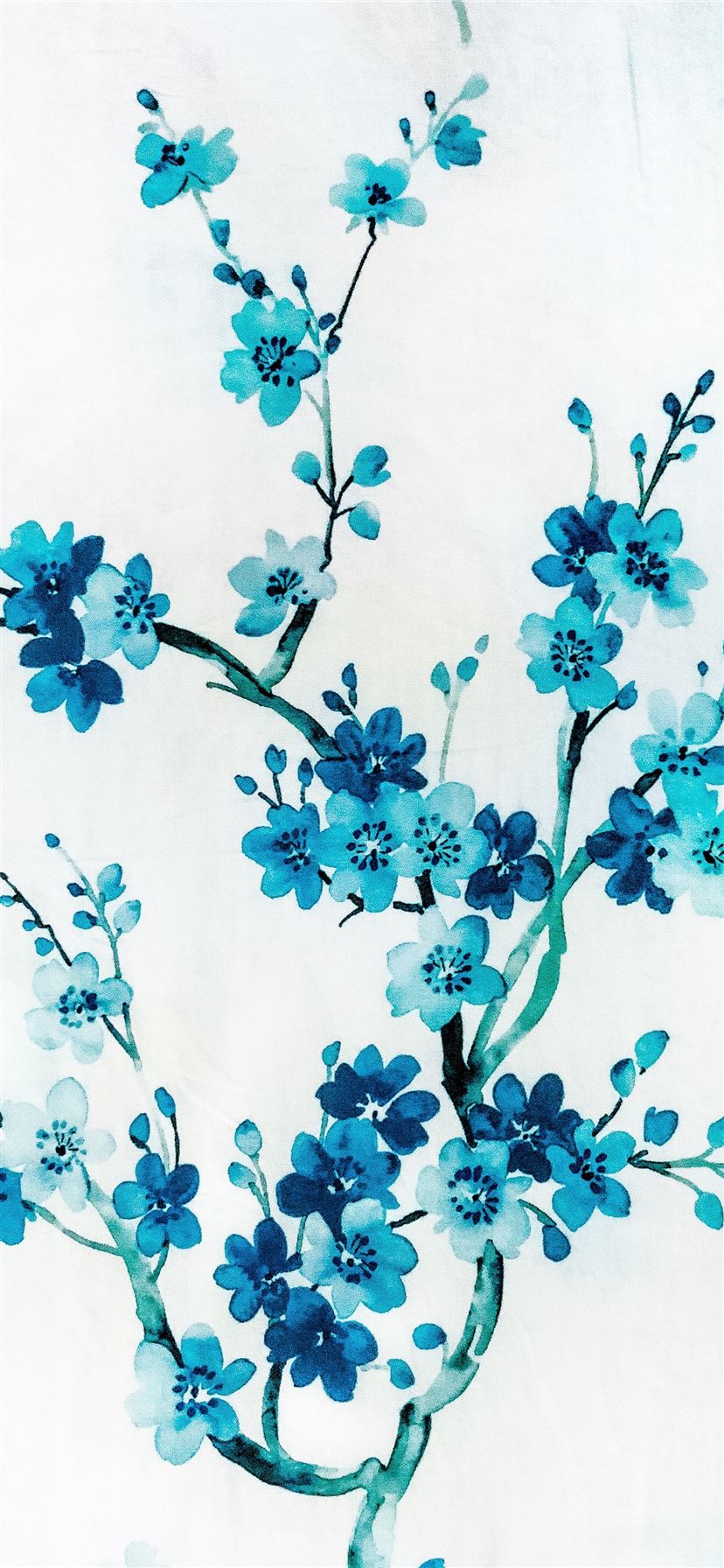 Blue Flower Wallpapers