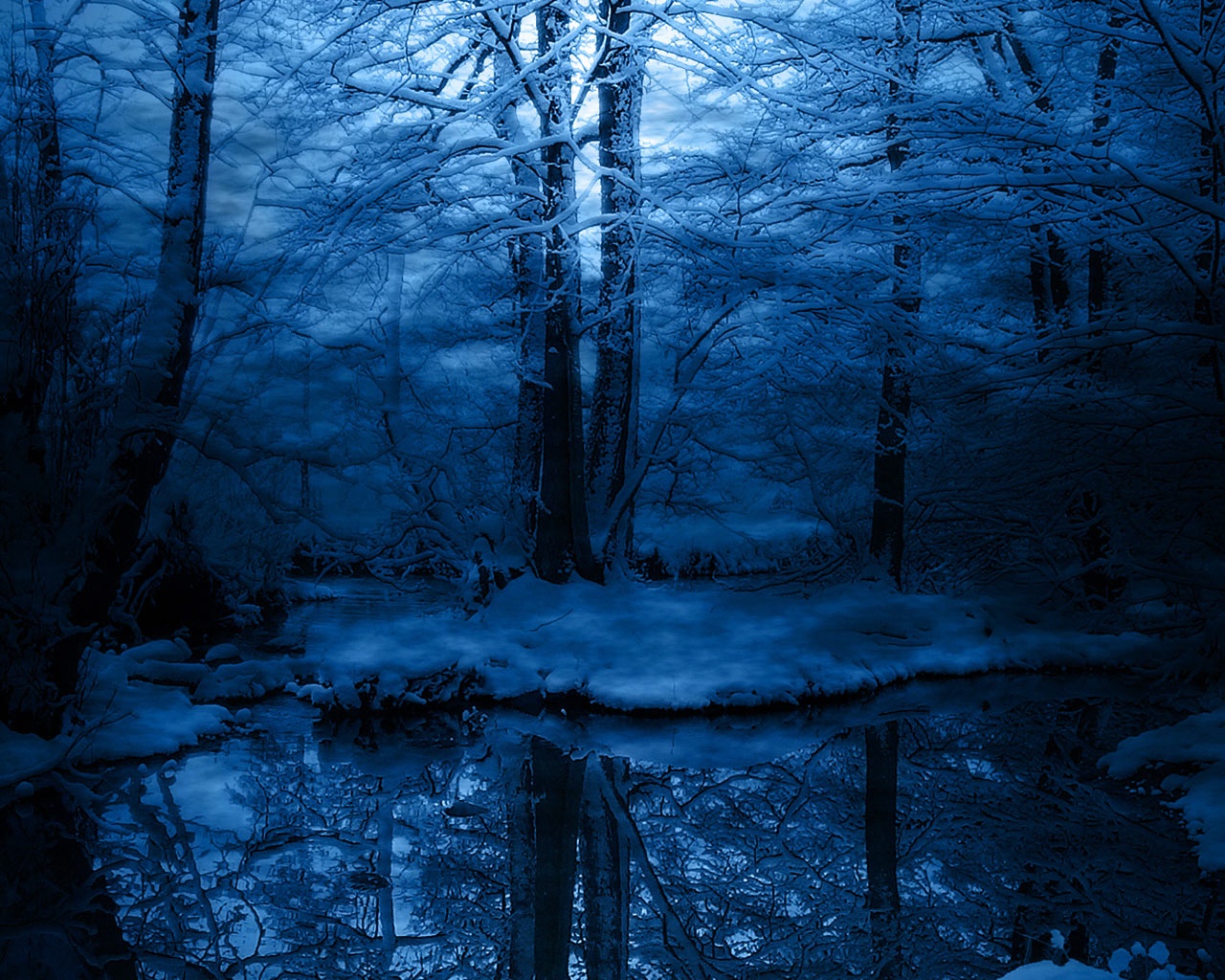 Blue Forest Wallpapers