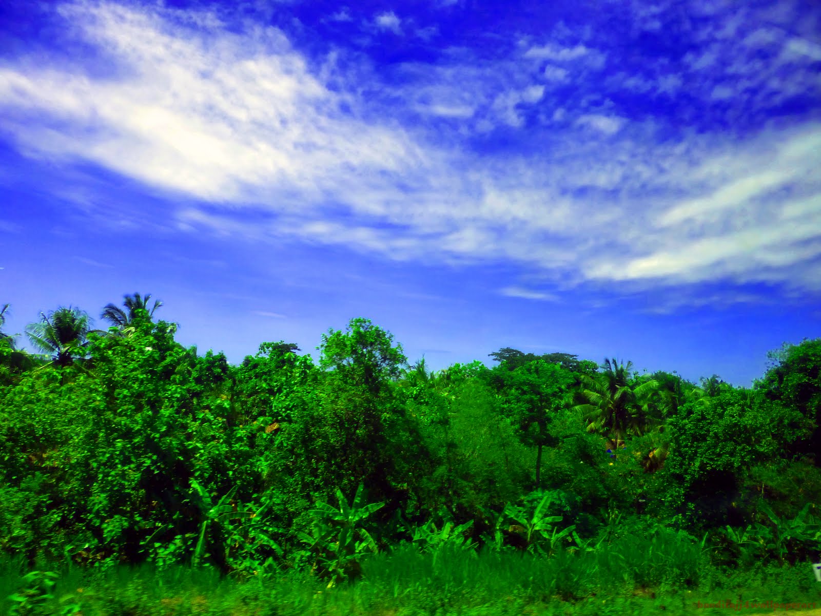 Blue Green Nature Wallpapers