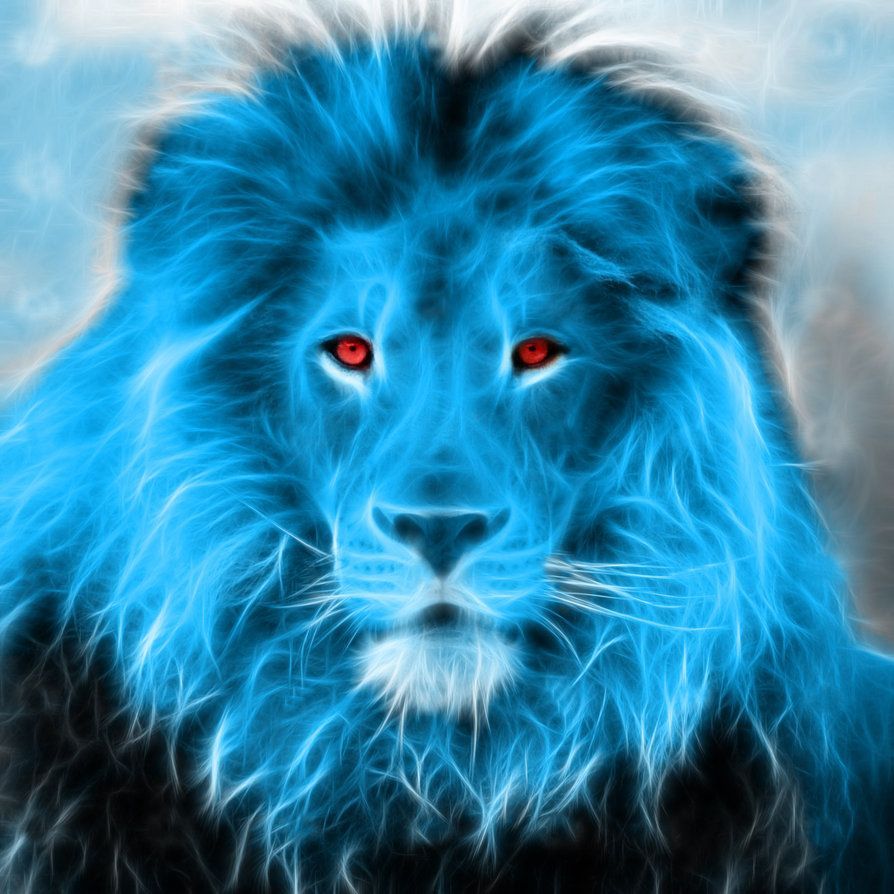 Blue Lion Wallpapers