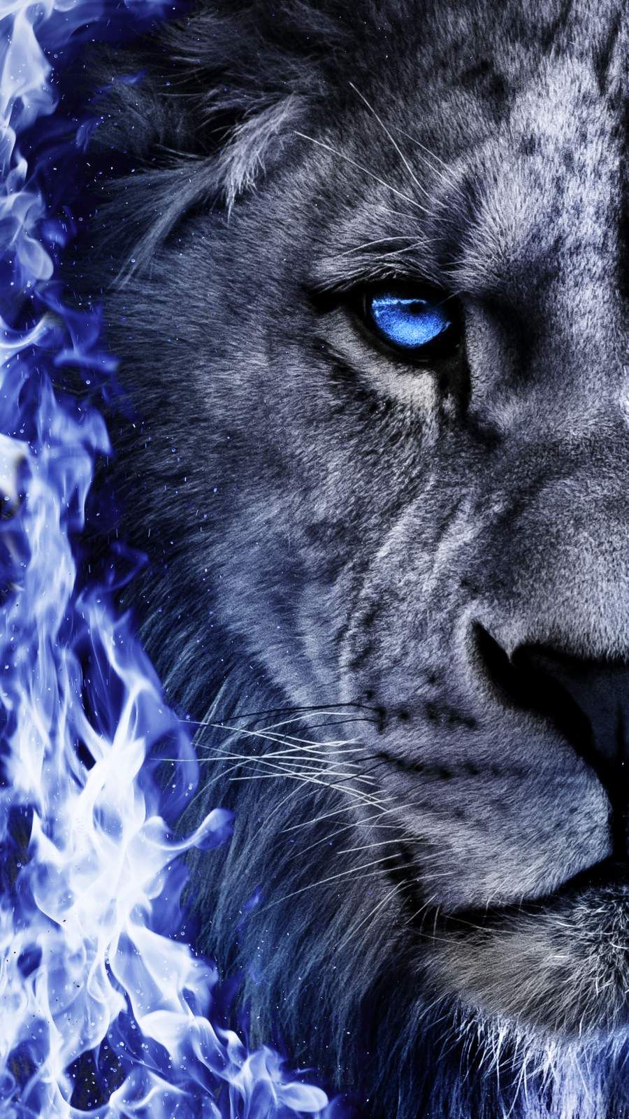 Blue Lion Wallpapers