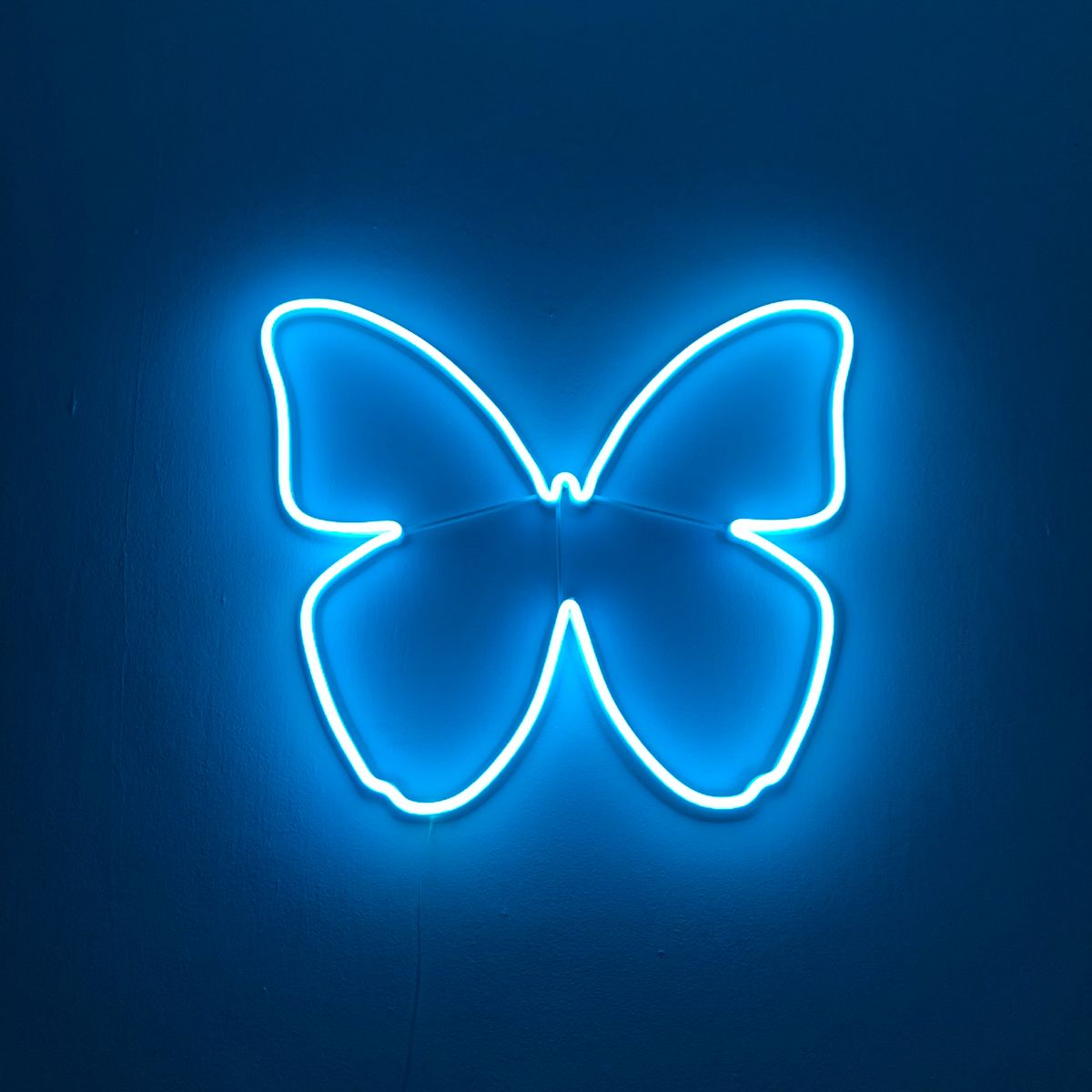 Blue Neon Butterfly Wallpapers