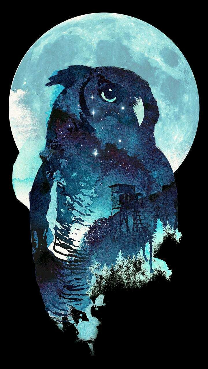 Blue Owl Wallpapers