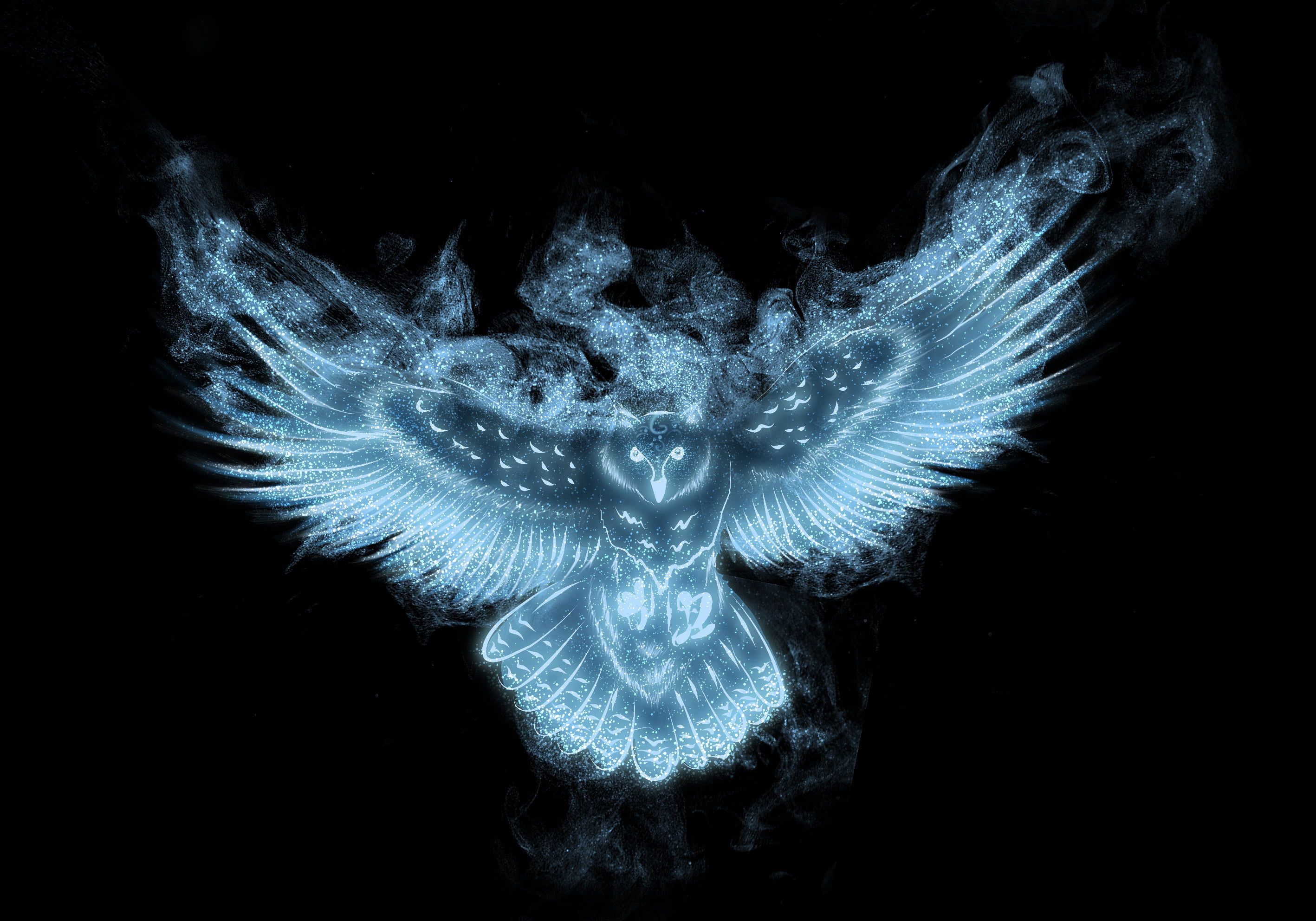 Blue Owl Wallpapers