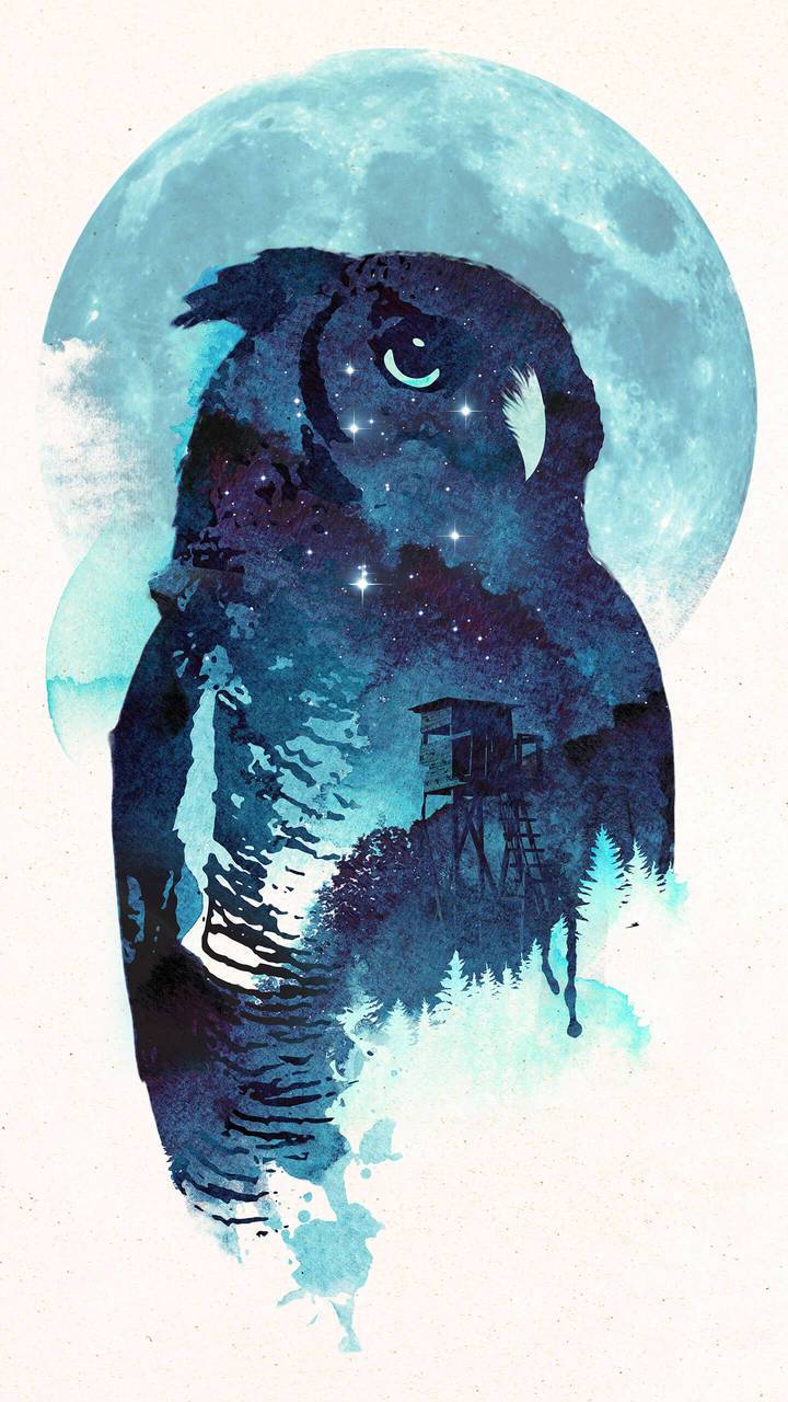 Blue Owl Wallpapers