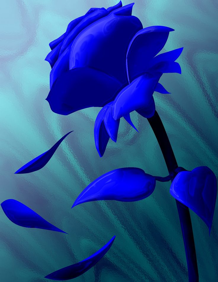 Blue Rose Wallpapers