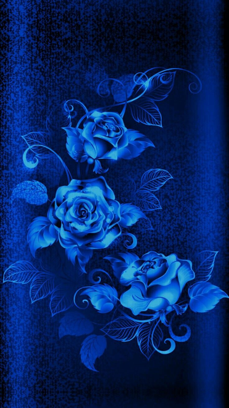 Blue Roses Wallpapers