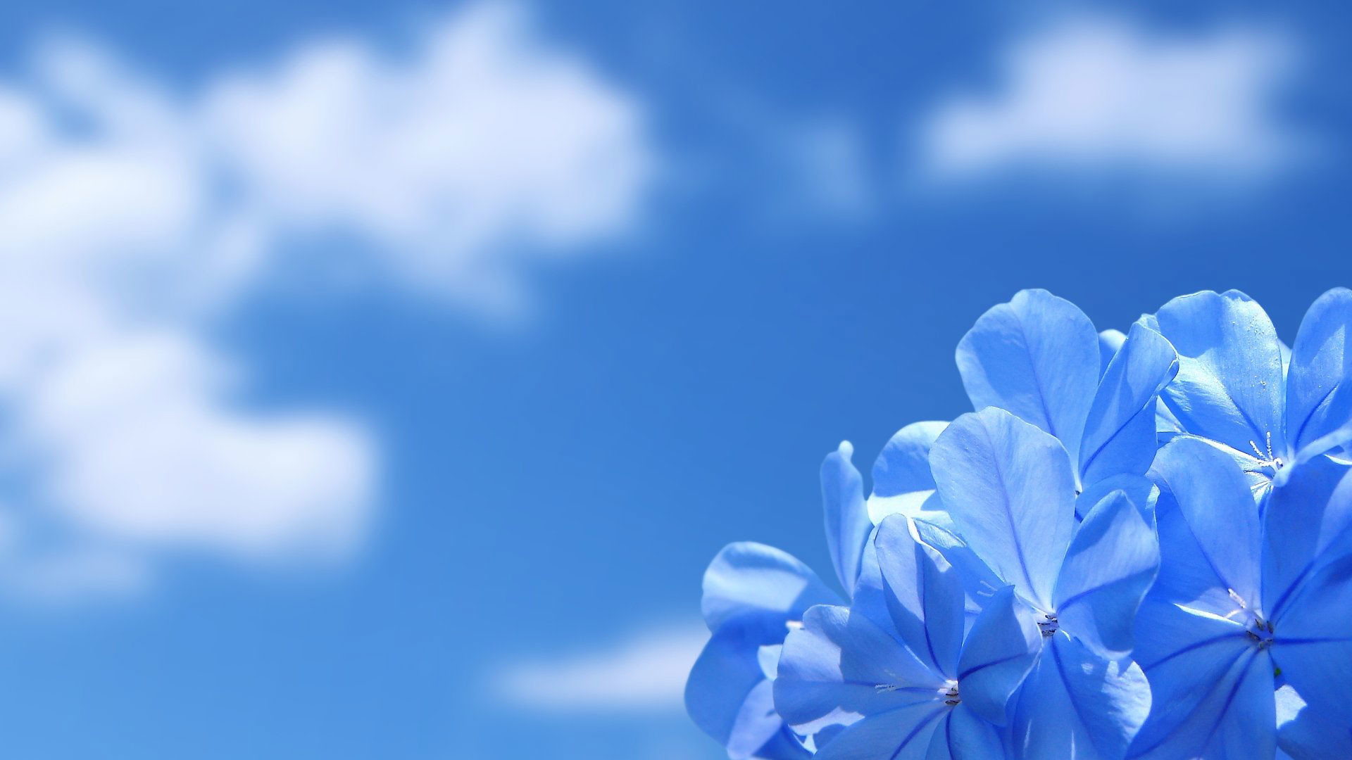 Blue Sky Desktop Wallpapers