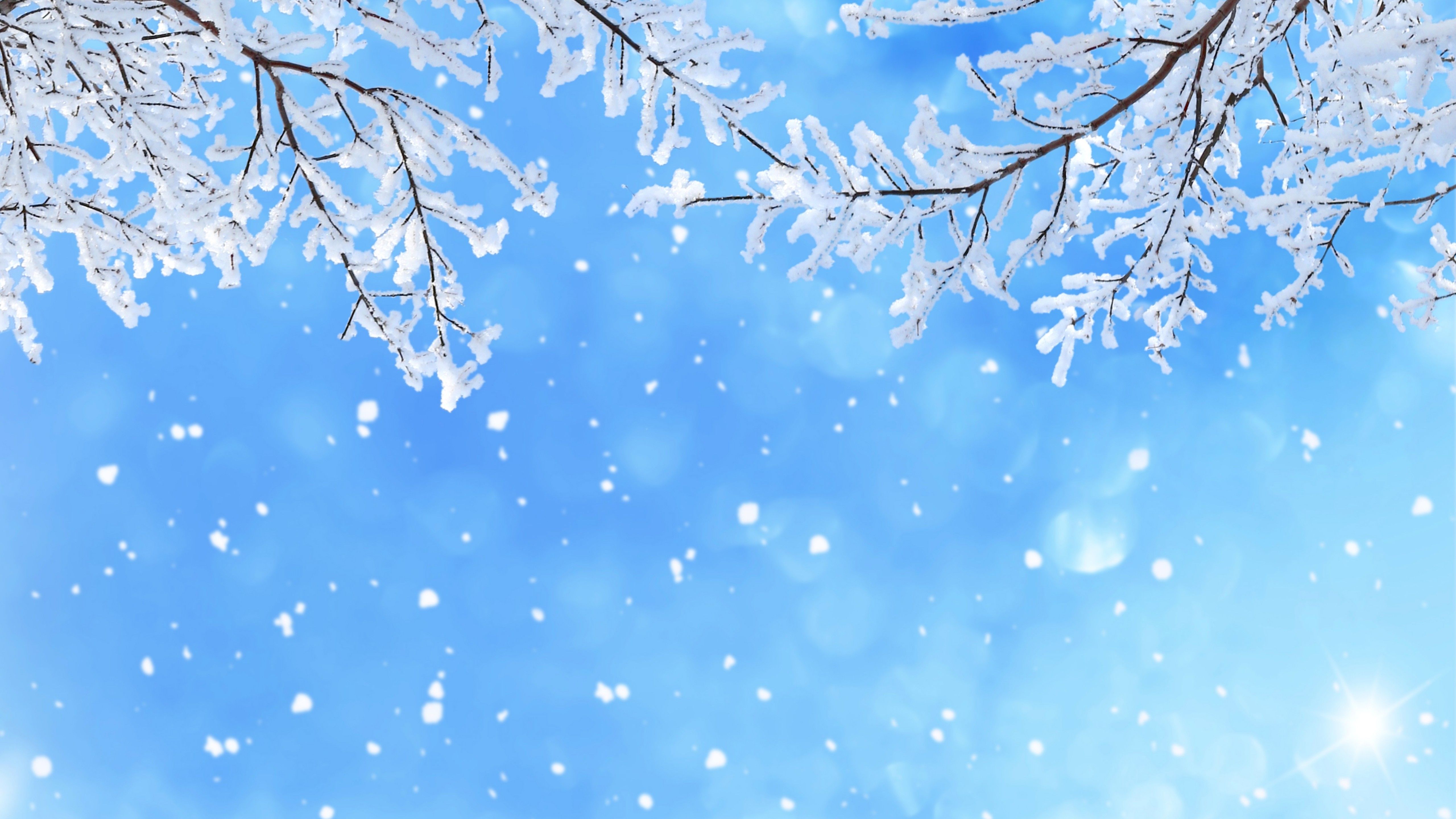 Blue Snow Wallpapers