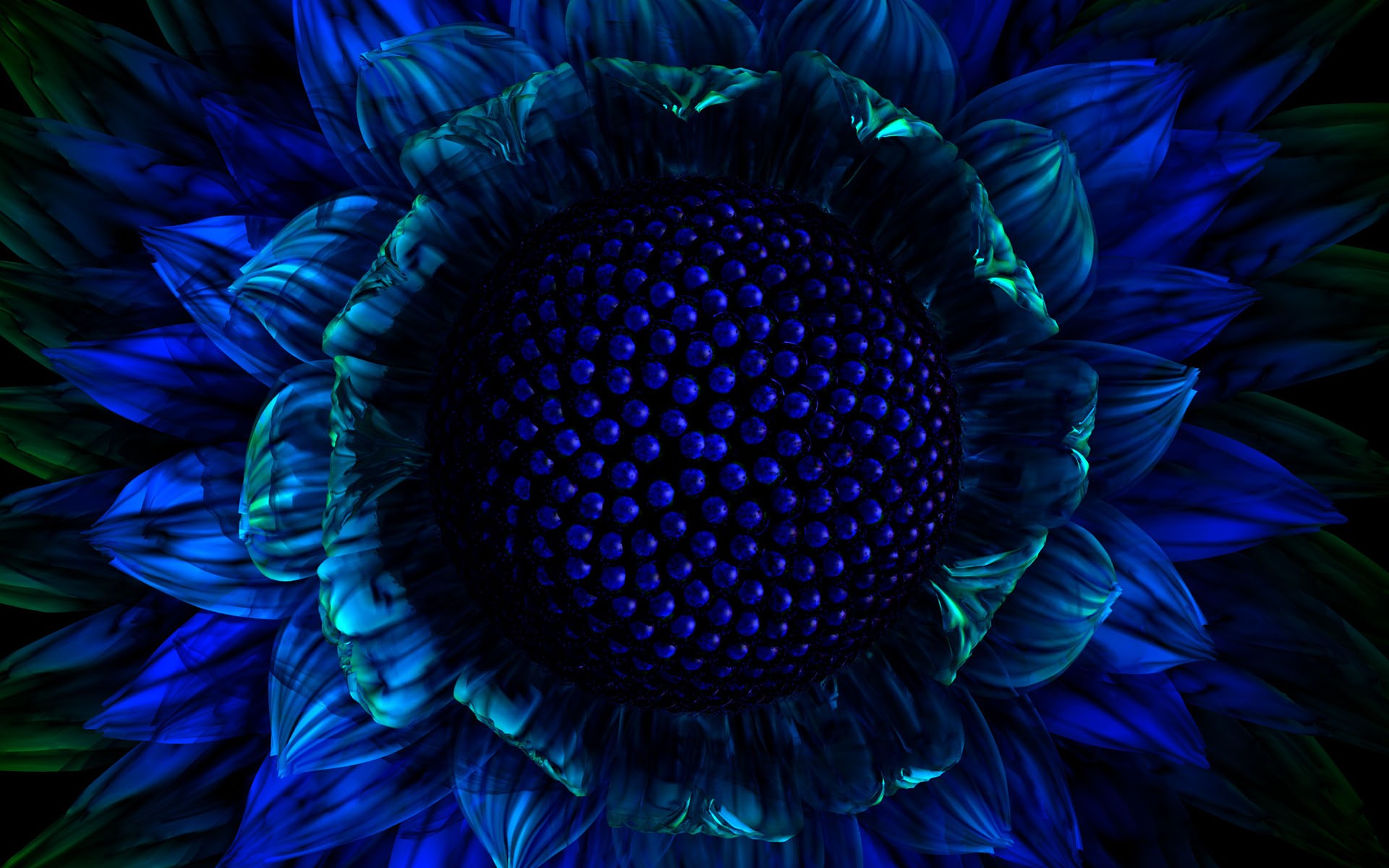 Blue Sunflower Wallpapers