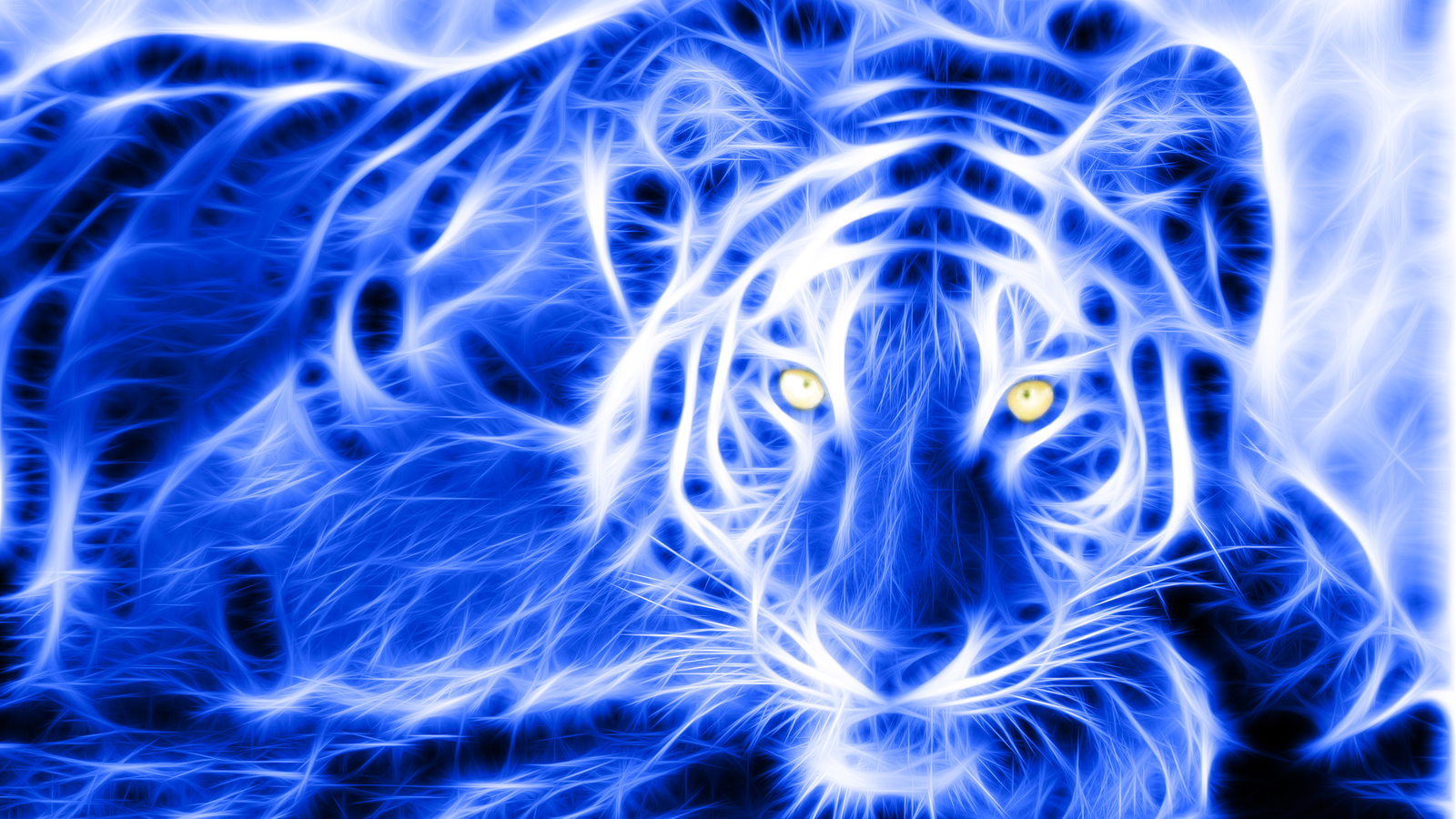 Blue Tiger Wallpapers