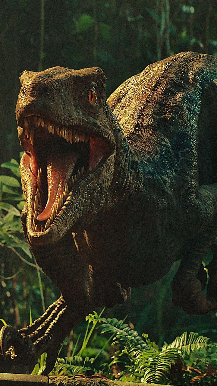 Blue Velociraptor Wallpapers