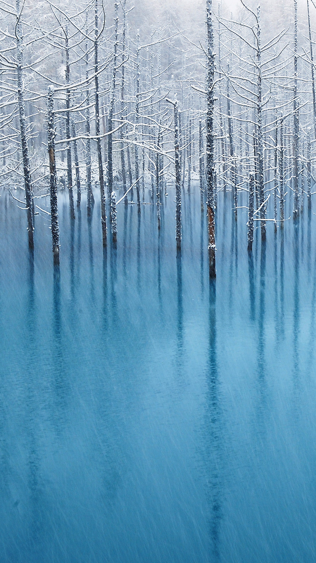 Blue Winter Wallpapers