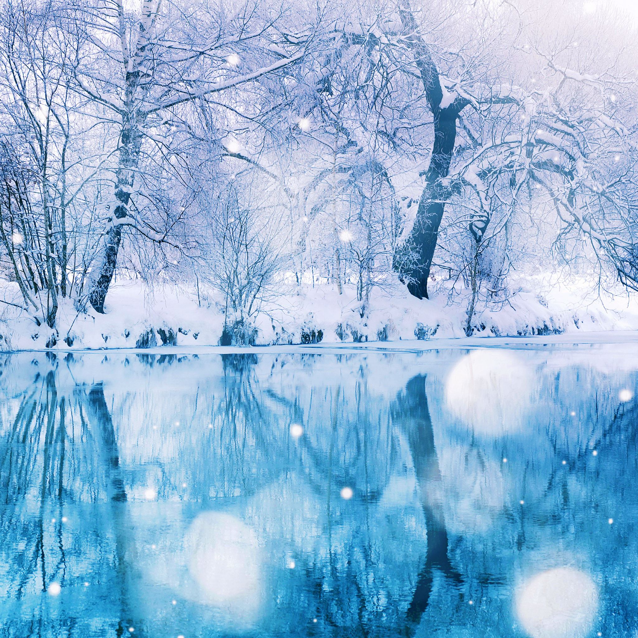 Blue Winter Wallpapers