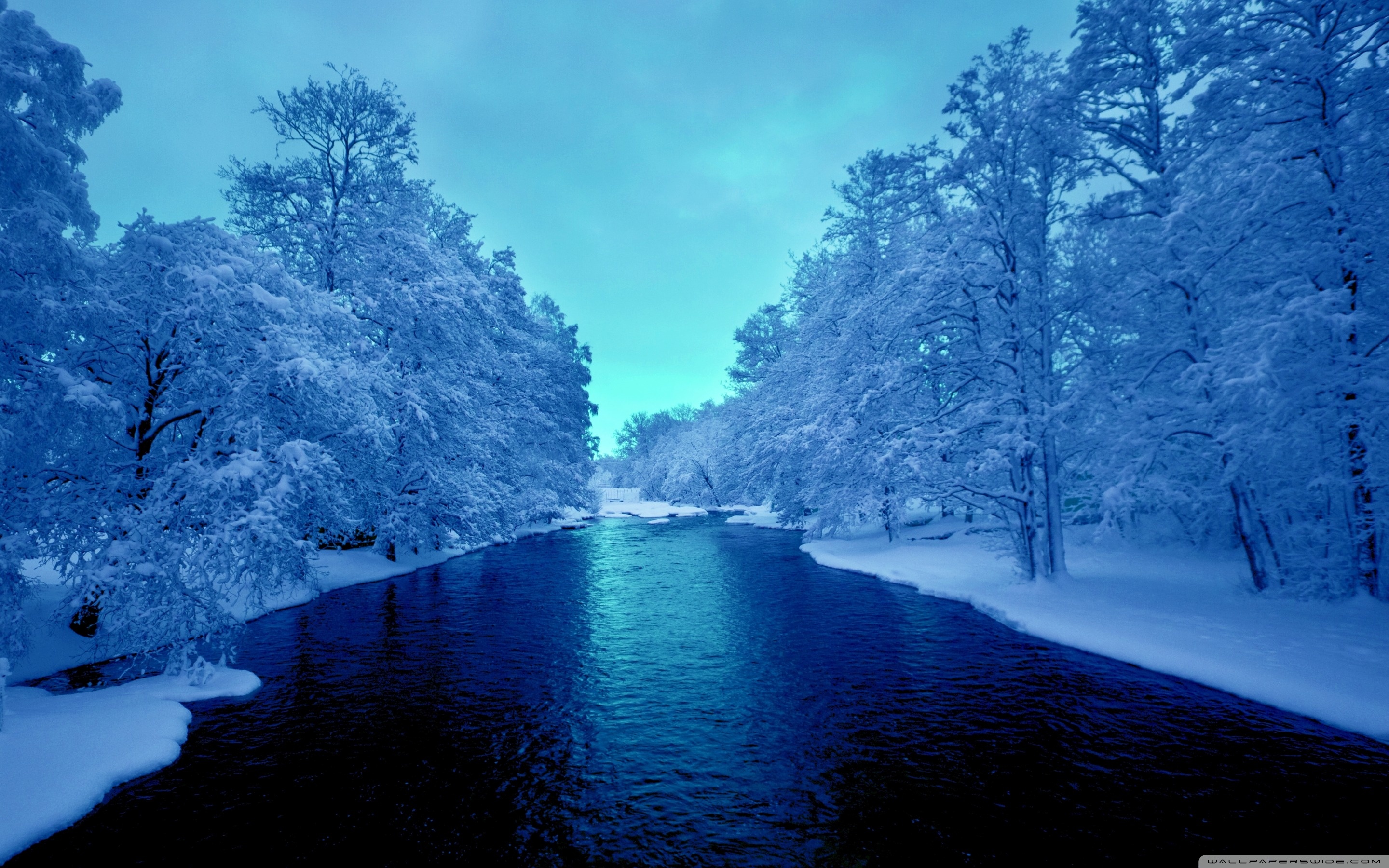 Blue Winter Wallpapers