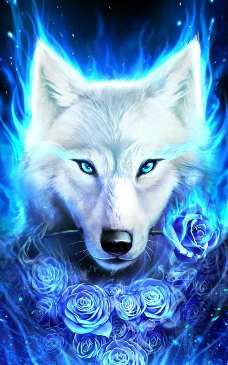 Blue Wolf Wallpapers