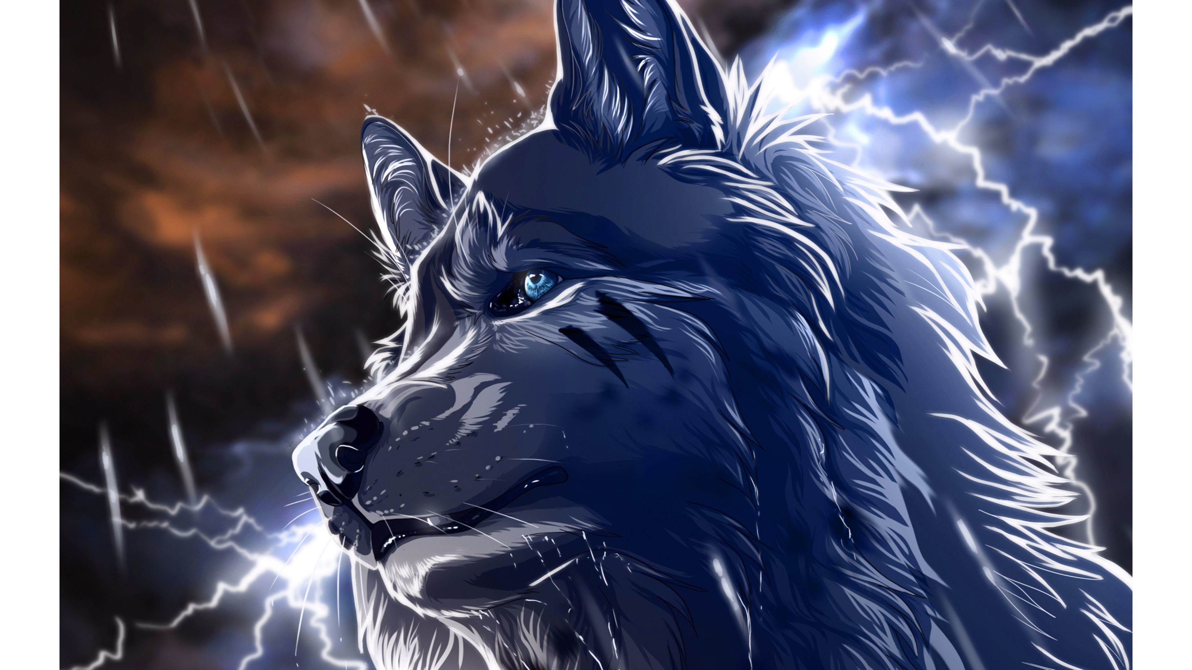 Blue Wolf Wallpapers