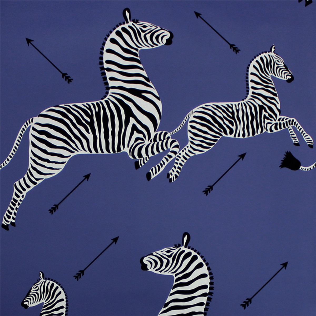 Blue Zebra Wallpapers