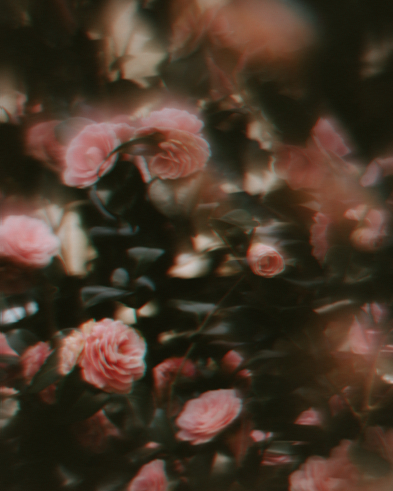 Blurry Aesthetic Pictures Wallpapers