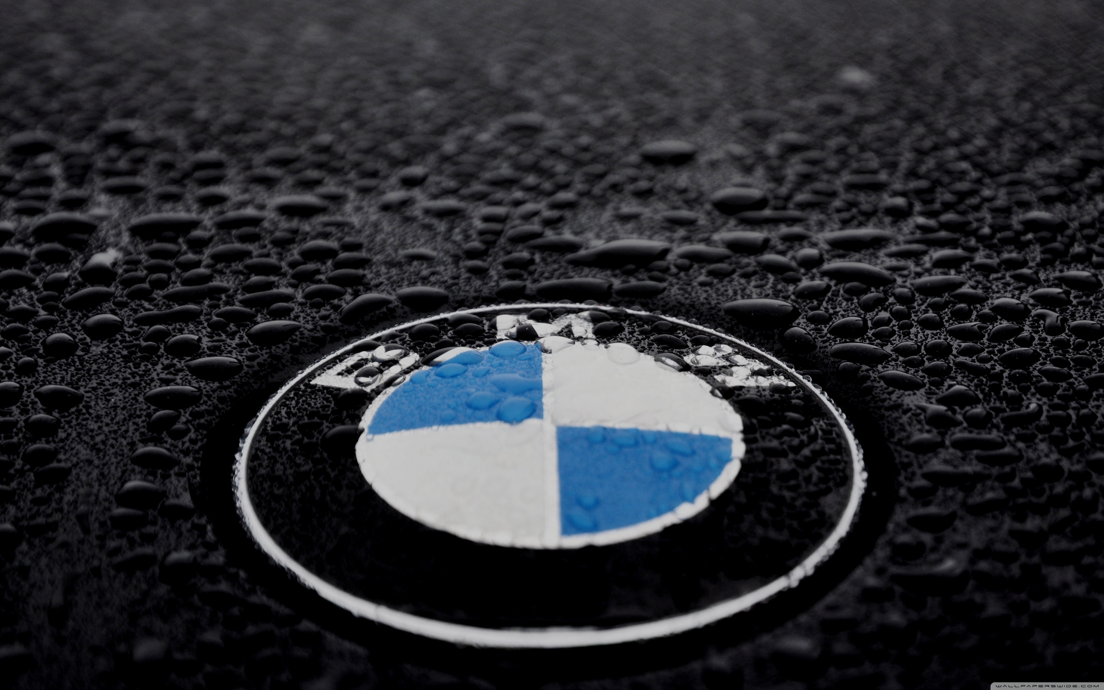 Bmw M Logo Wallpapers