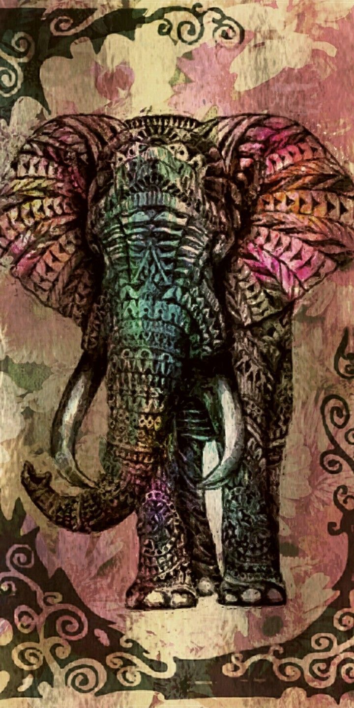 Boho Elephant Wallpapers