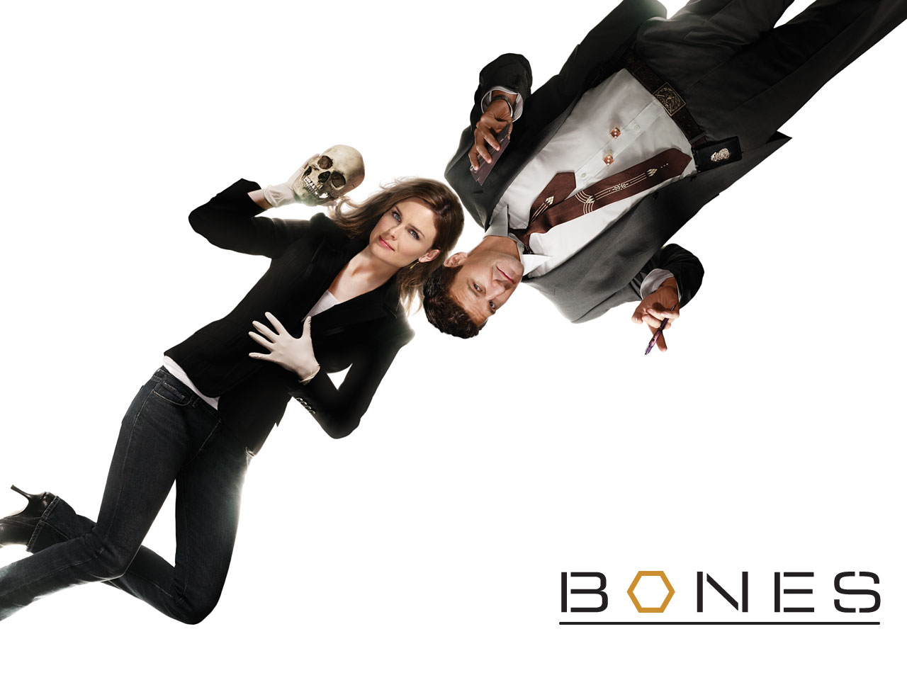 Bones Tv Show Logo Wallpapers