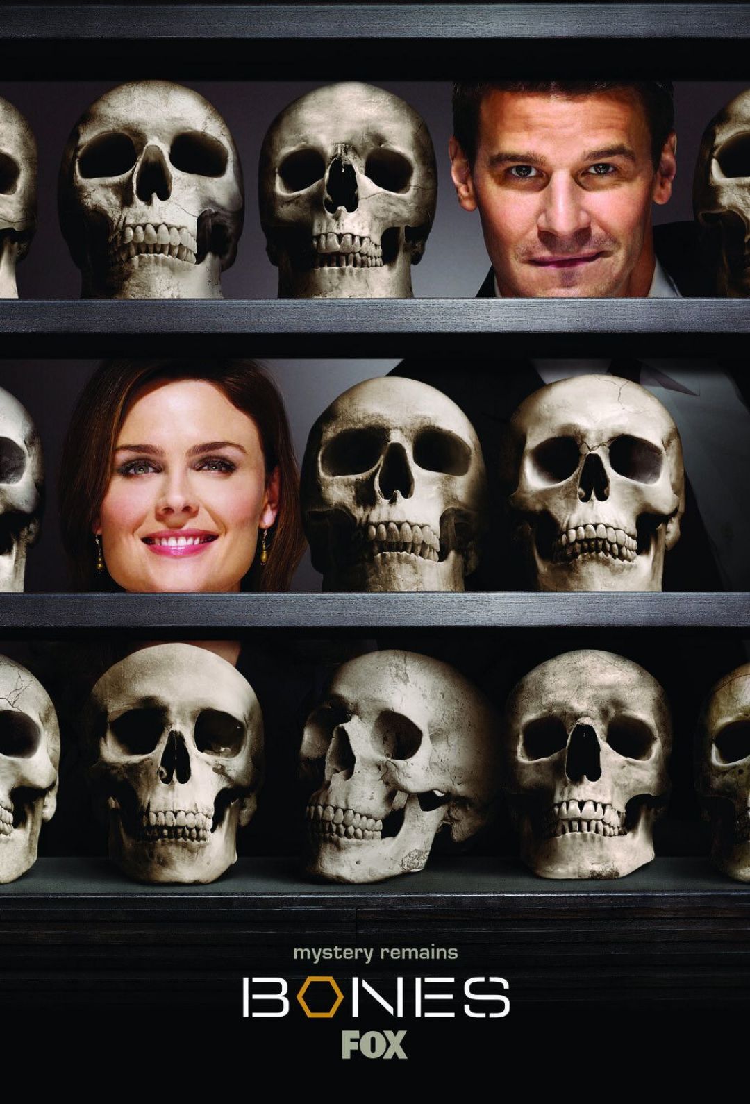 Bones Tv Show Wallpapers