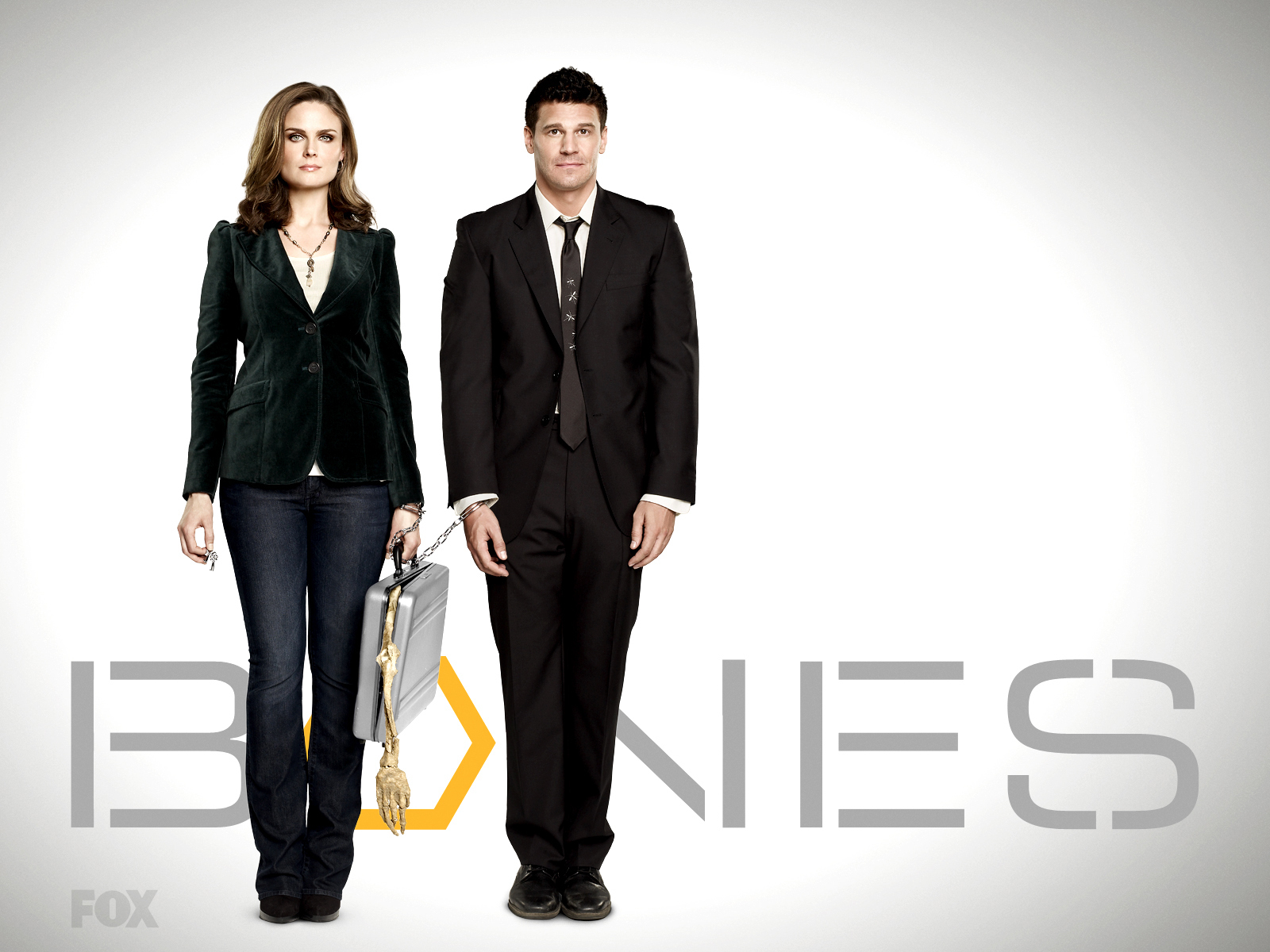 Bones Tv Show Wallpapers