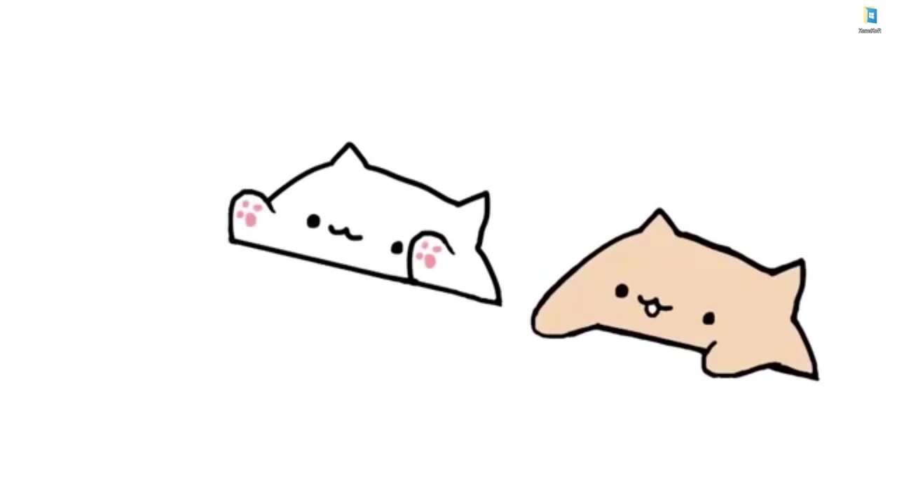 Bongo Cat Wallpapers