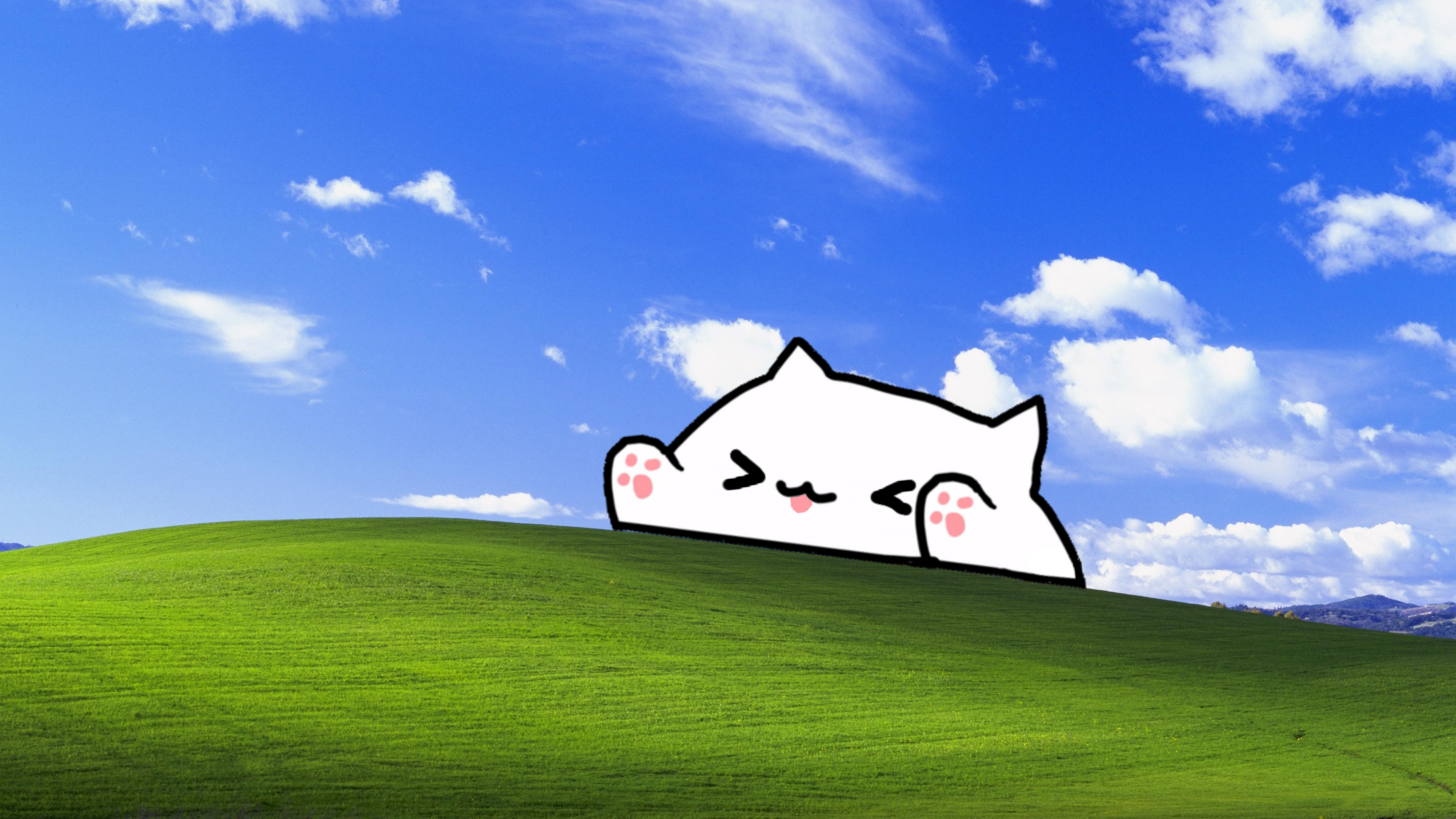 Bongo Cat Wallpapers