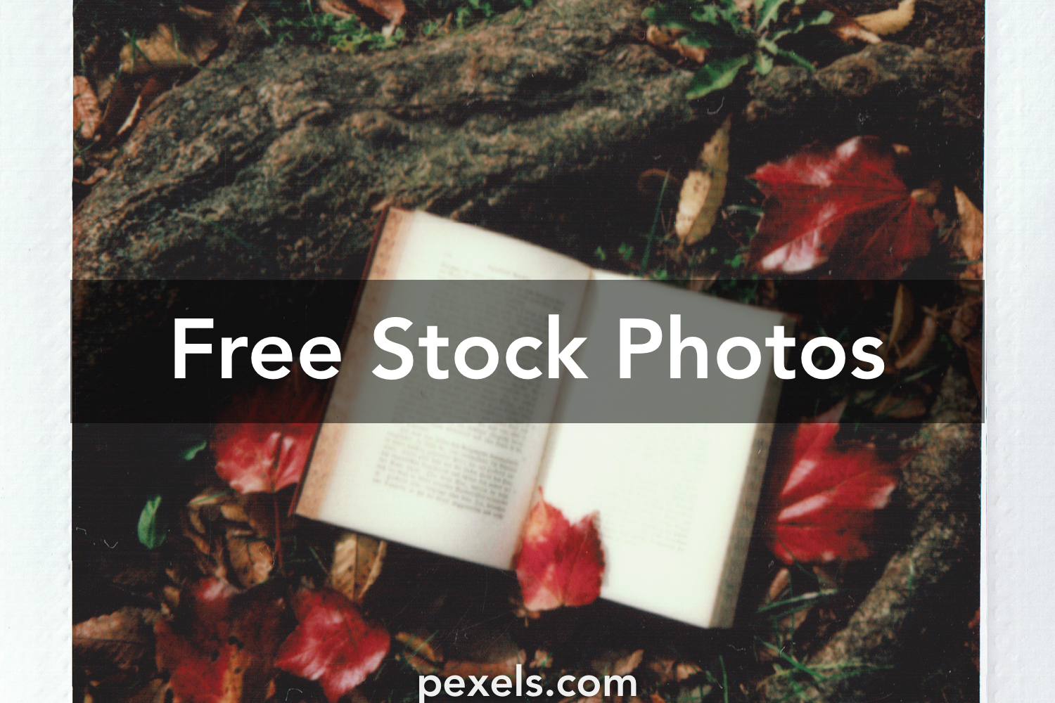 Book Photography Wallpapers