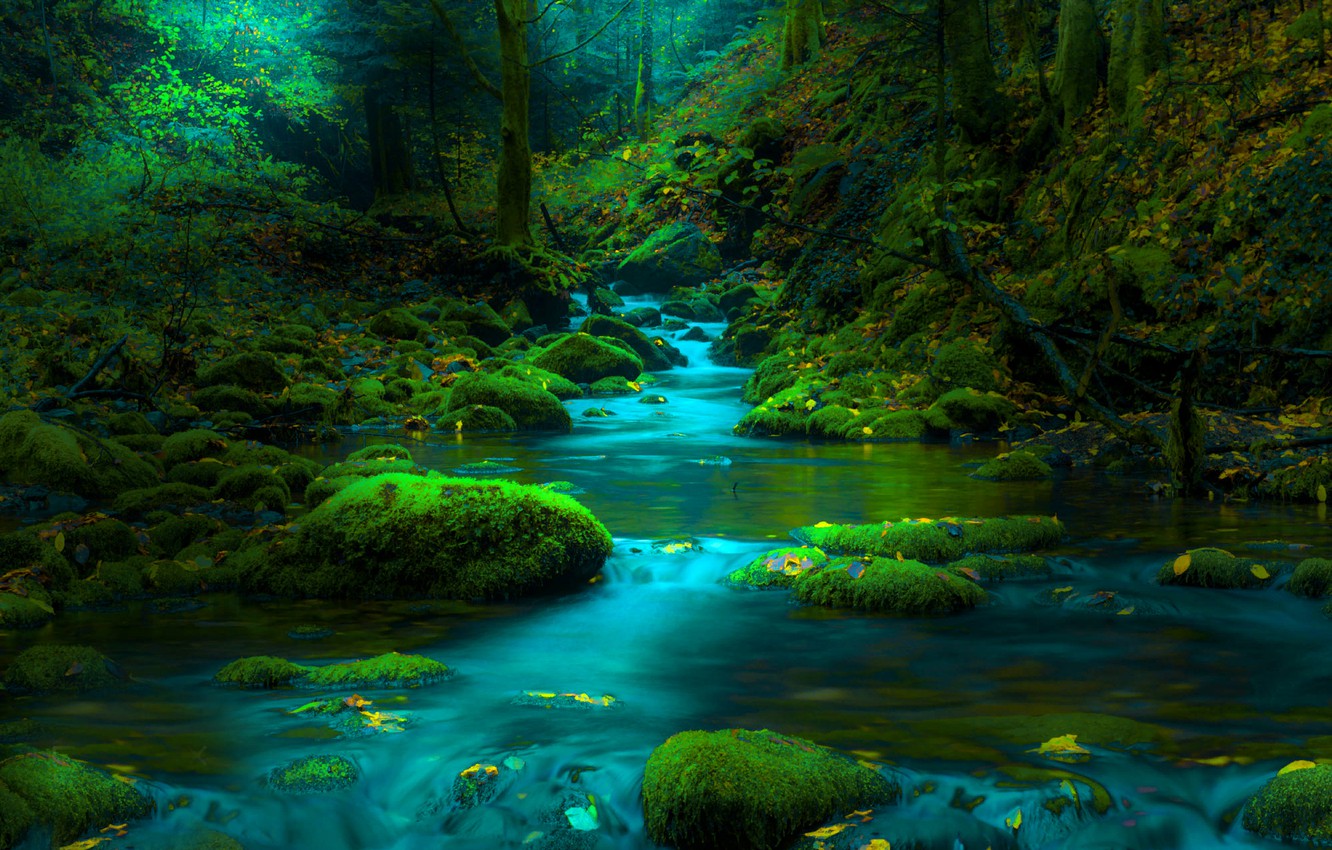 Bosnian Nature Wallpapers