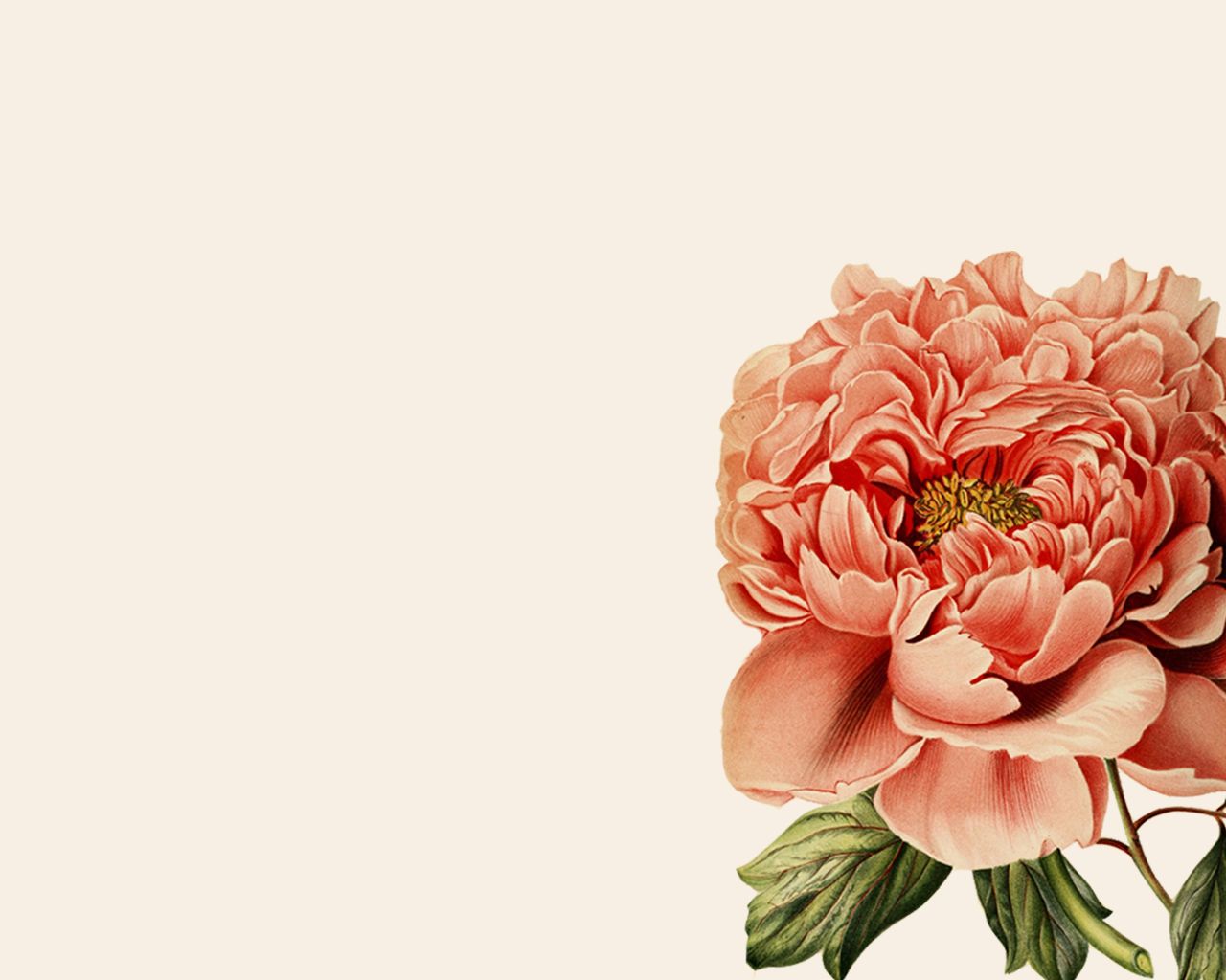 Botanical Desktop Wallpapers