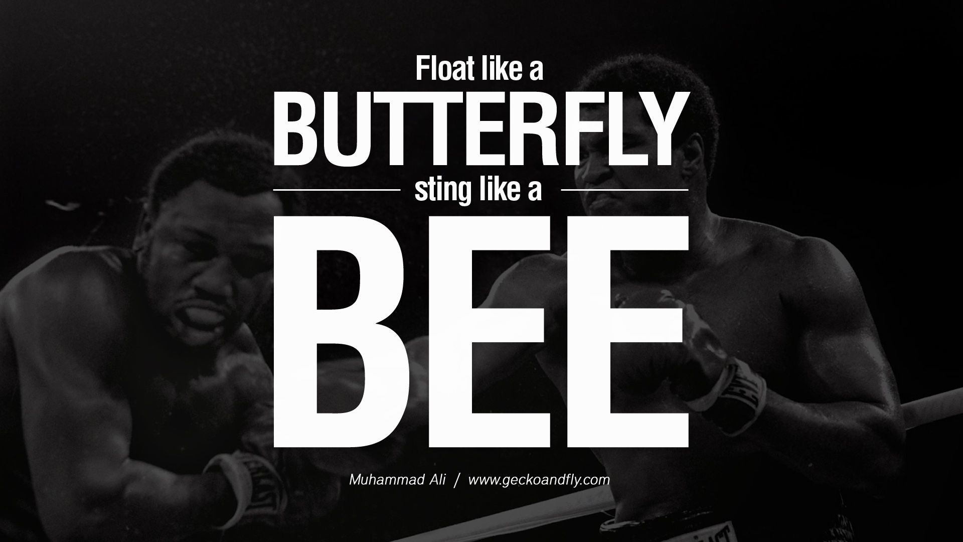 Boxing Quotes Wallpapers