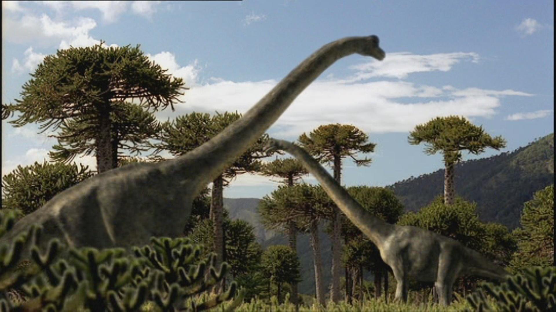 Brachiosaurus Wallpapers