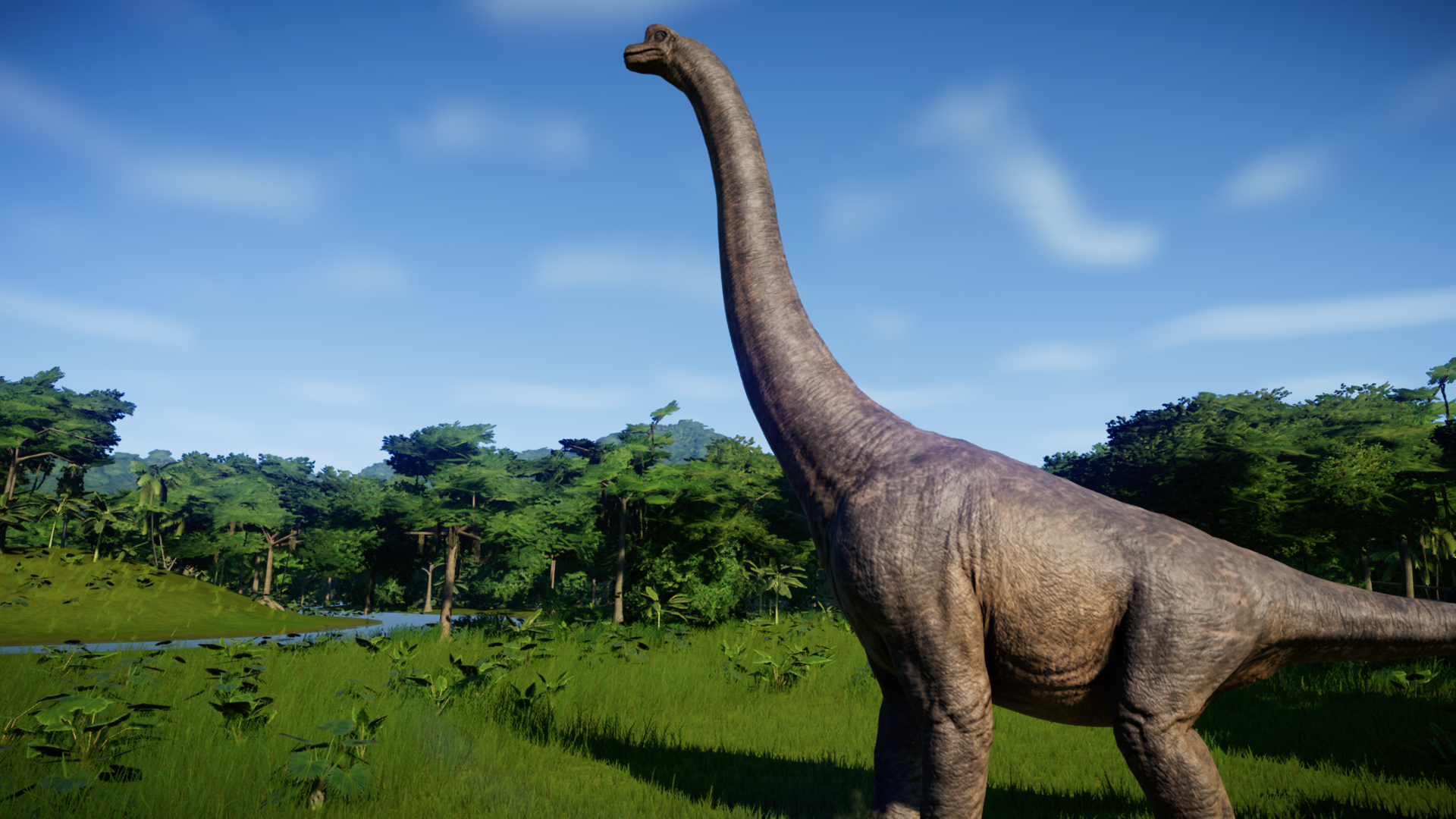 Brachiosaurus Wallpapers