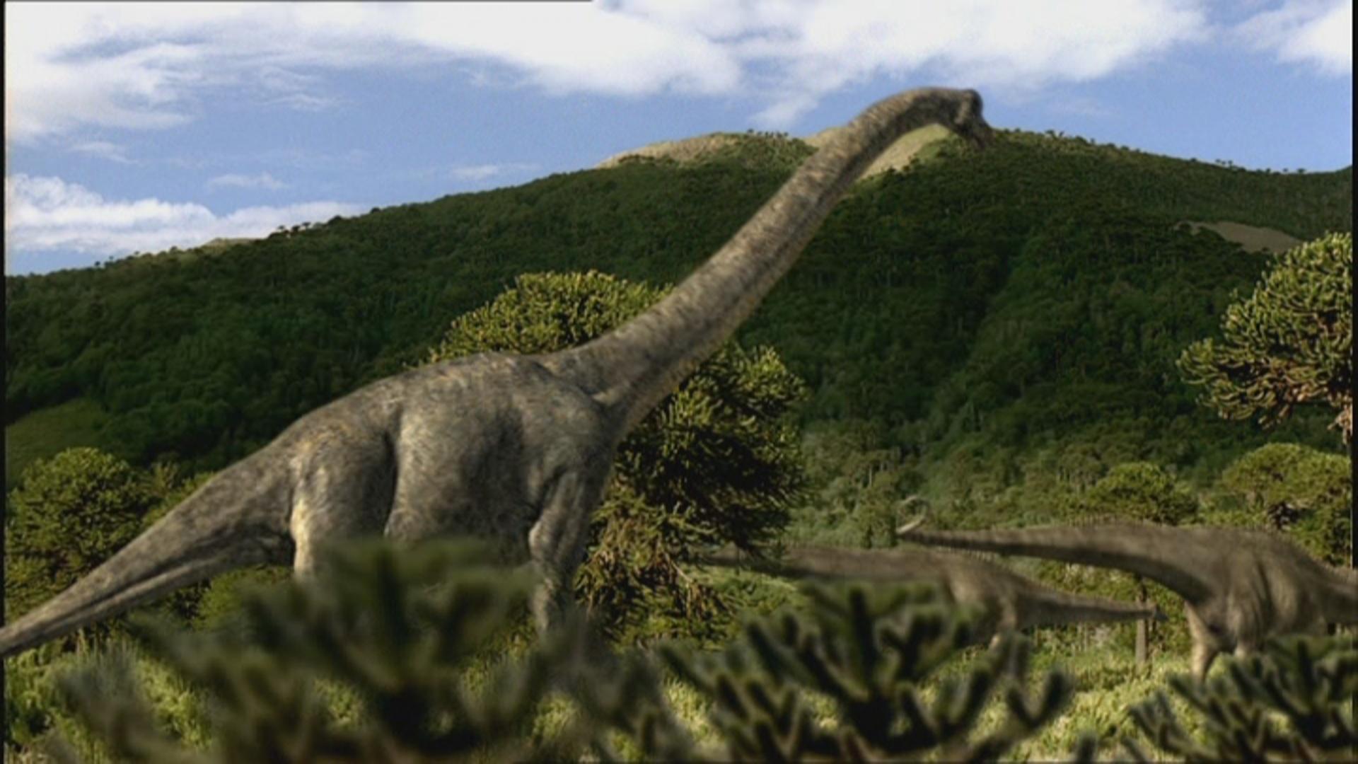 Brachiosaurus Wallpapers