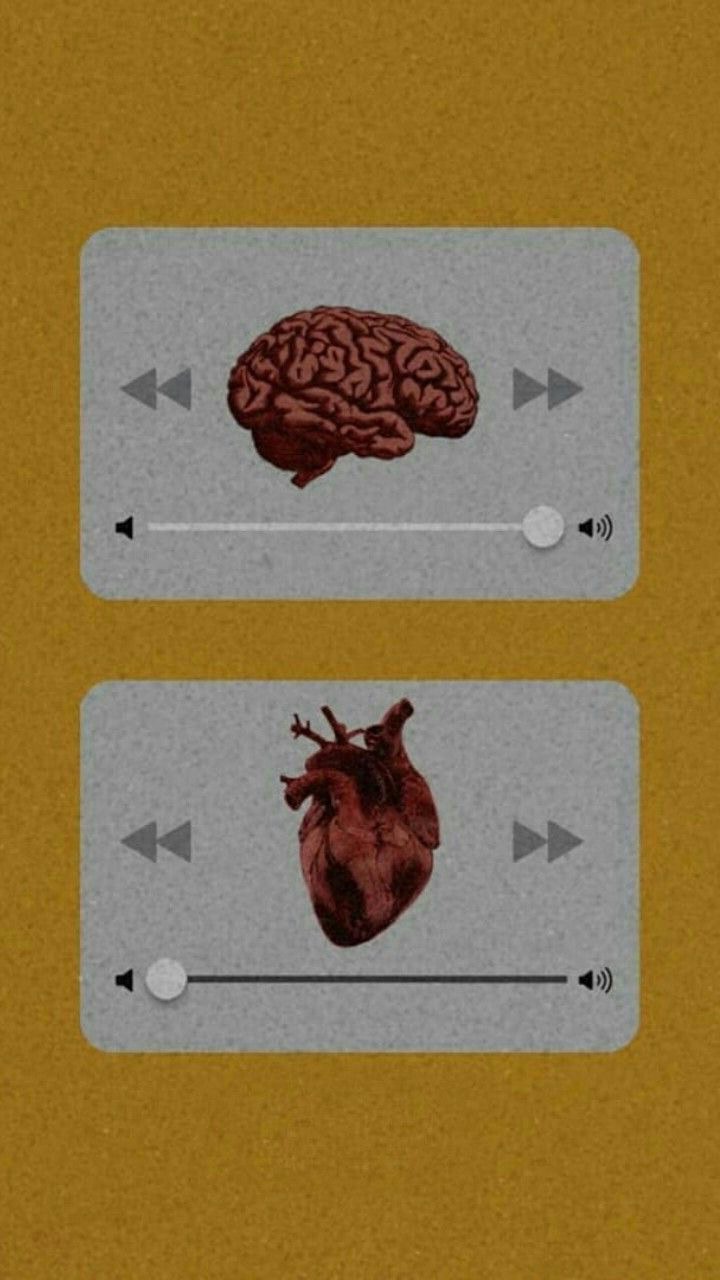 Brain And Heart Images Wallpapers