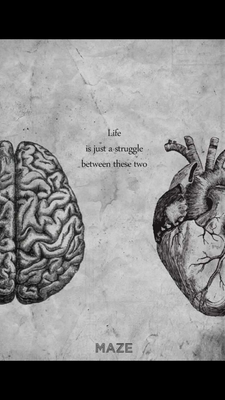 Brain And Heart Images Wallpapers