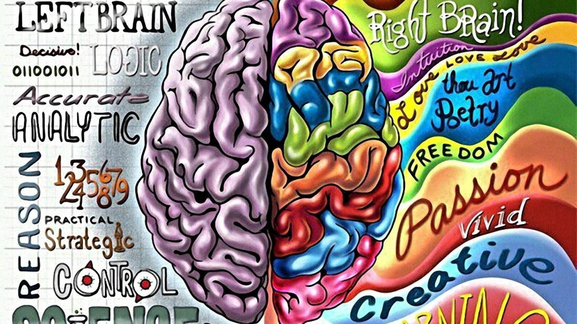 Brain Art Images Wallpapers