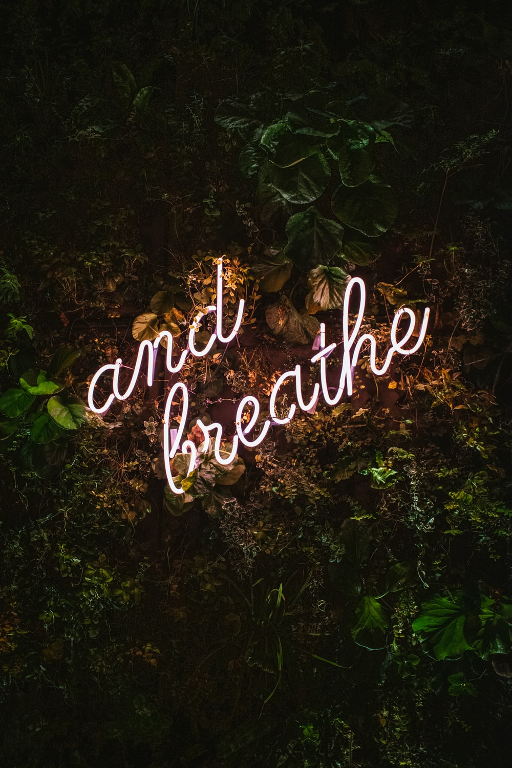 Breath Wallpapers