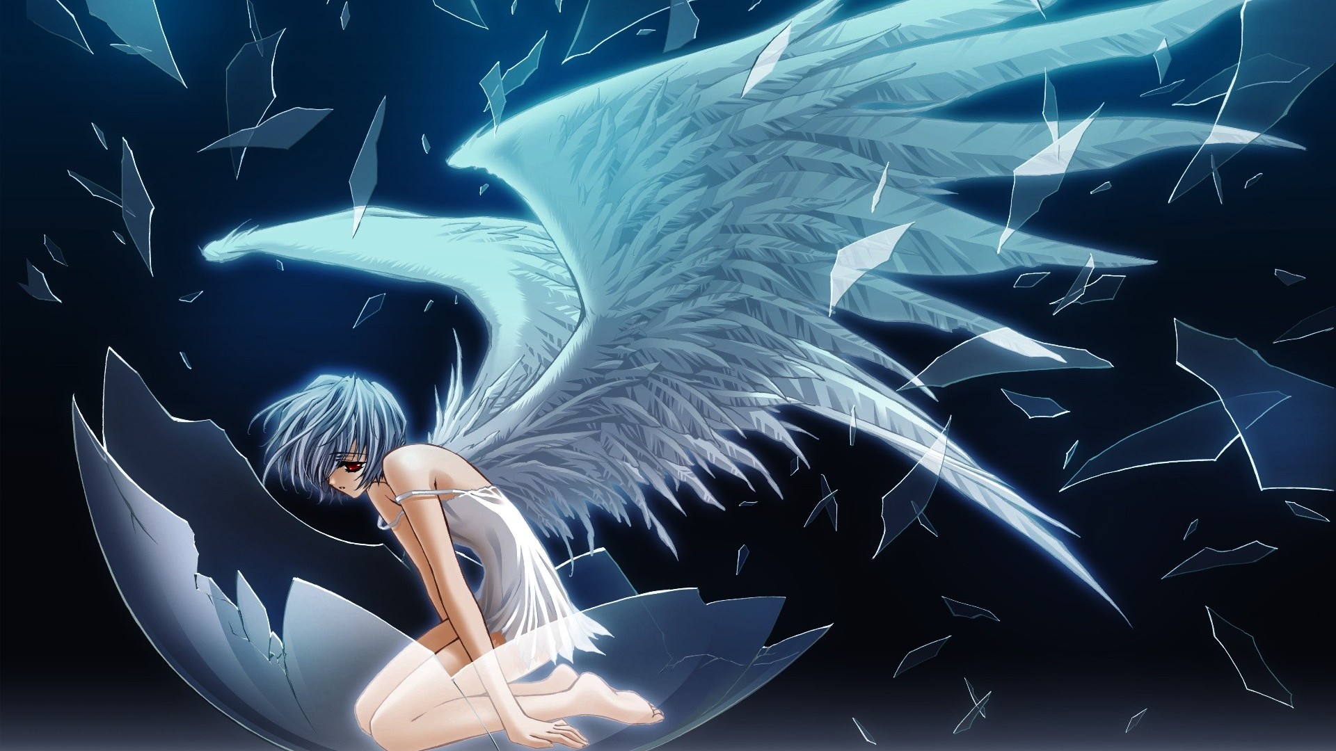 Broken Wings Images Wallpapers