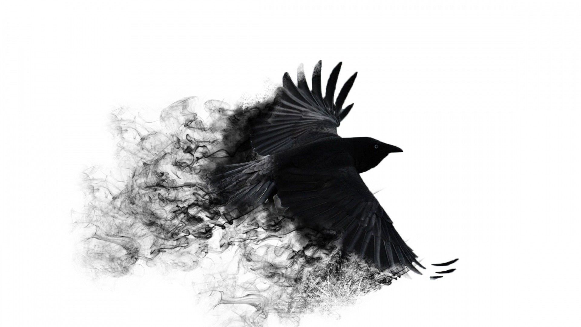 Broken Wings Images Wallpapers