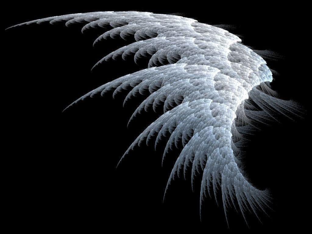 Broken Wings Images Wallpapers