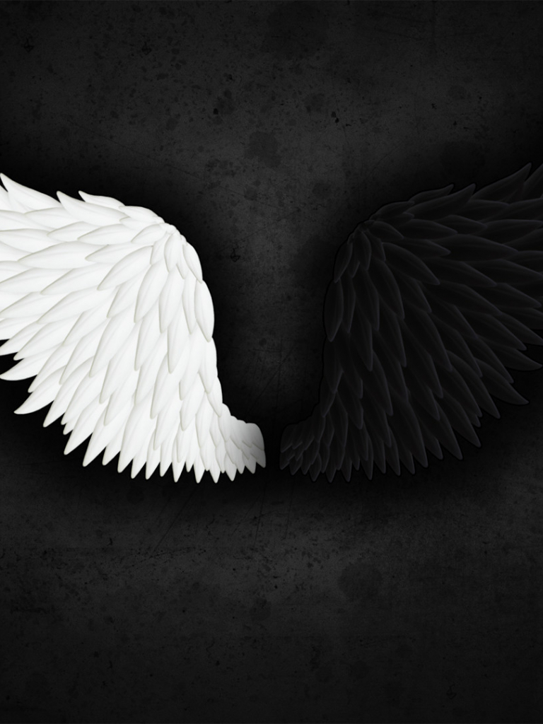 Broken Wings Images Wallpapers